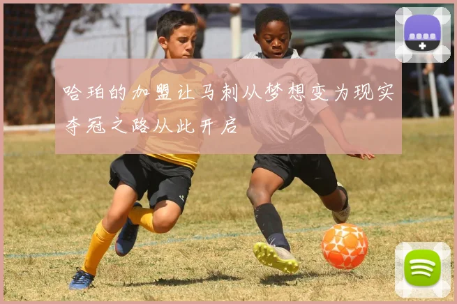 哈珀的加盟让马刺从梦想变为现实夺冠之路从此开启
